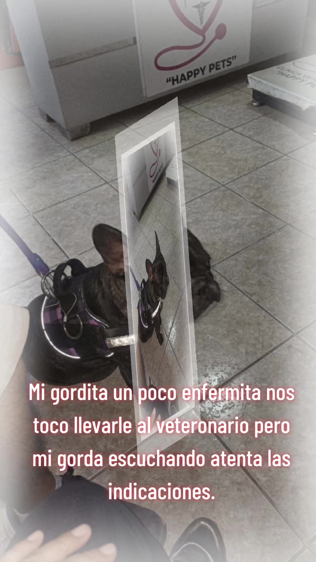 @💝💘💞Magui💖Libra💞💘💝
