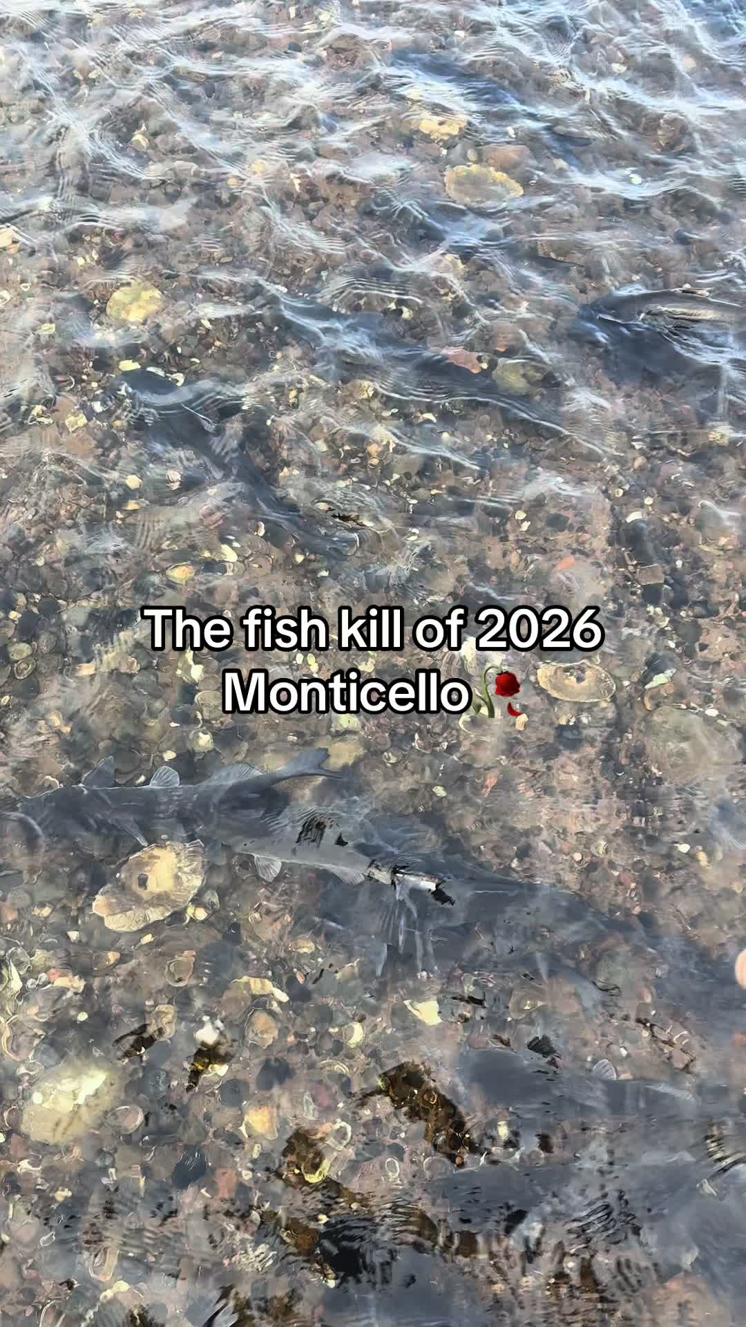 @Minnesota anglers