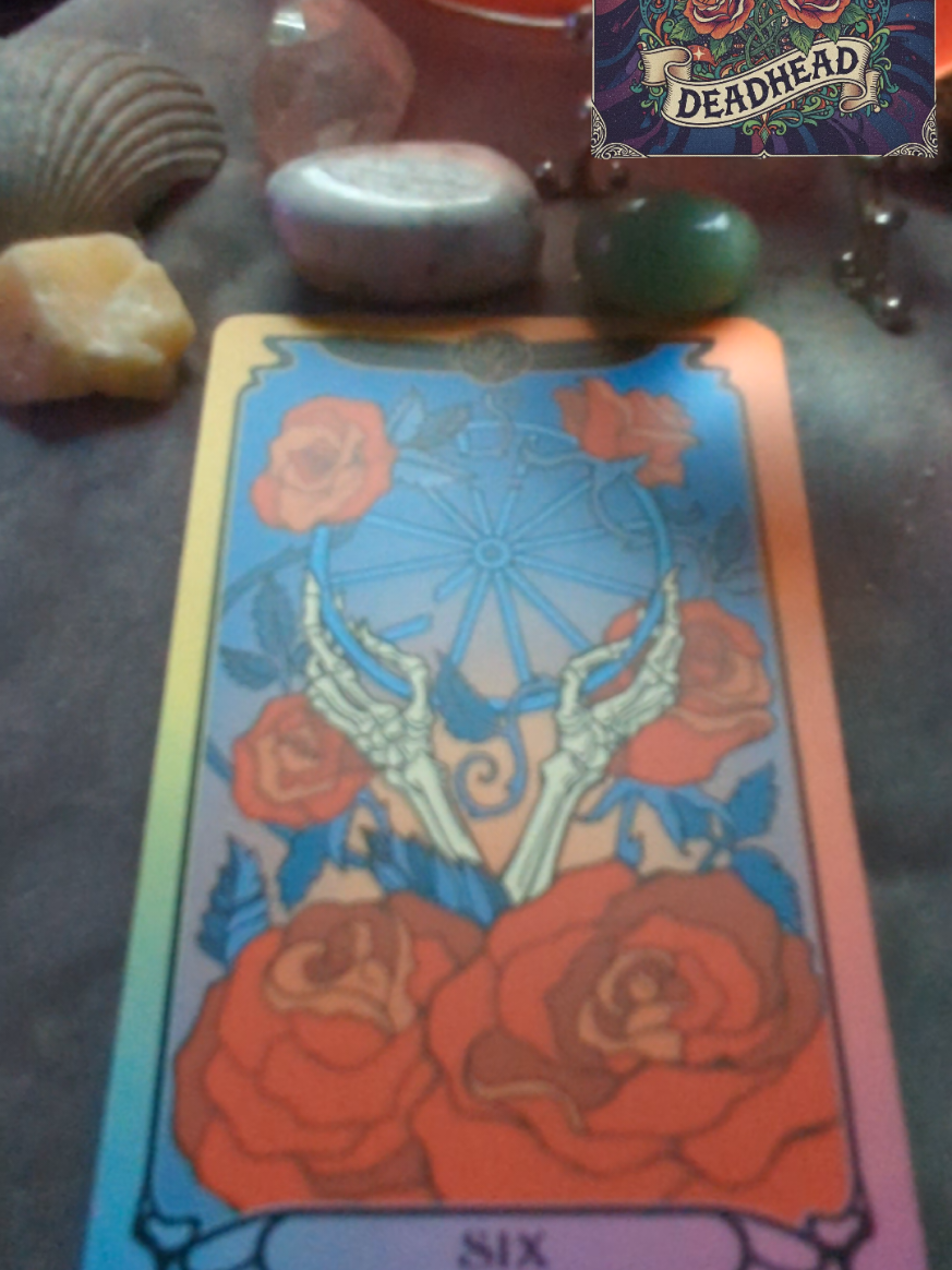 @Deadhead Tarot ✨✌️✌️