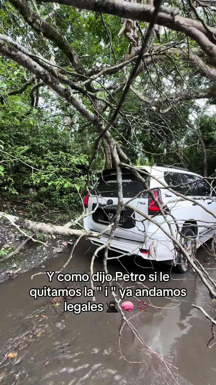 @toyo_pasion_