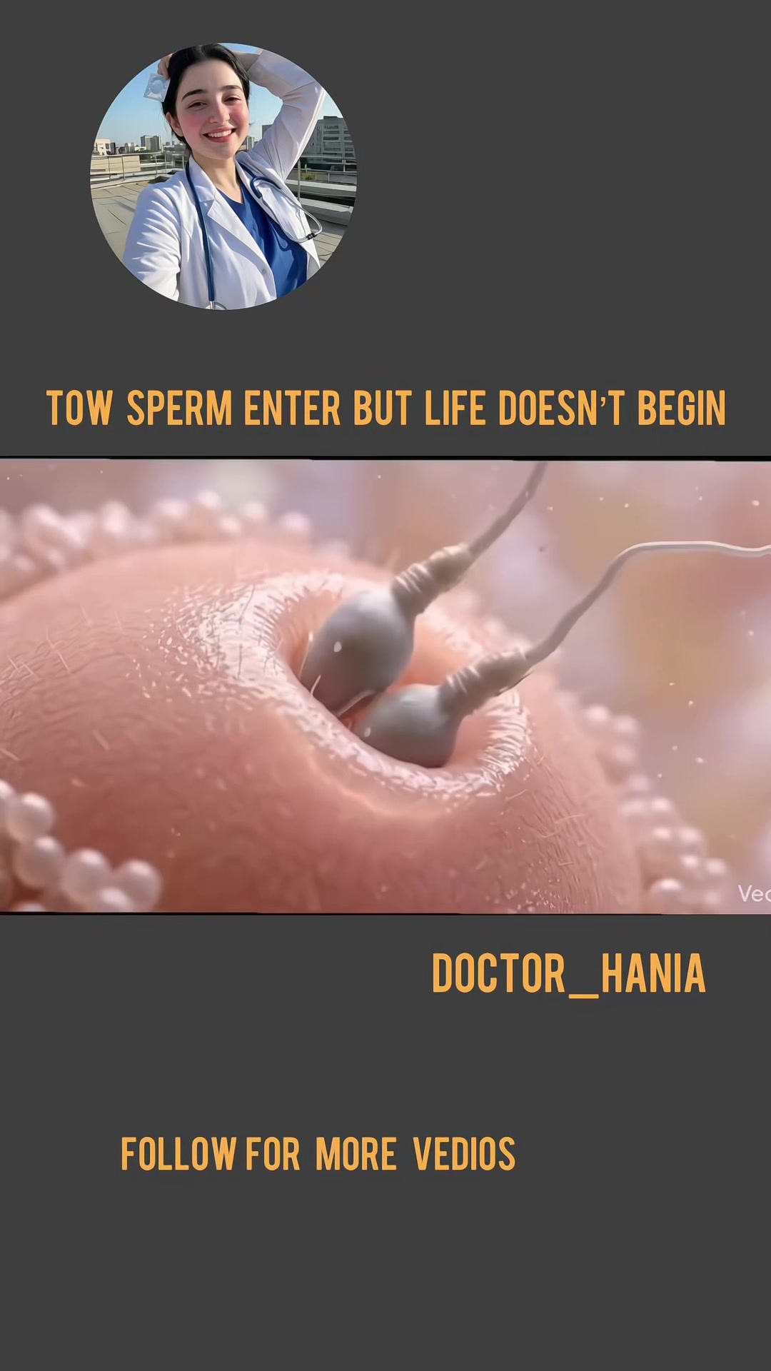 @Doctor Hania