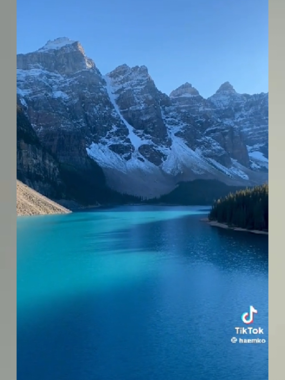 @AltruisticMama🇨🇦