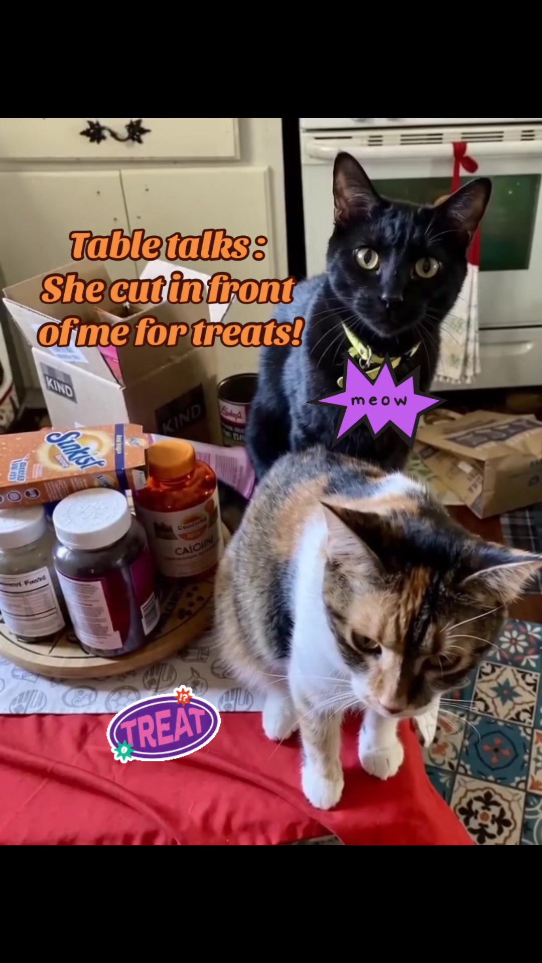 @🐈⬛🐈Shelby🐈