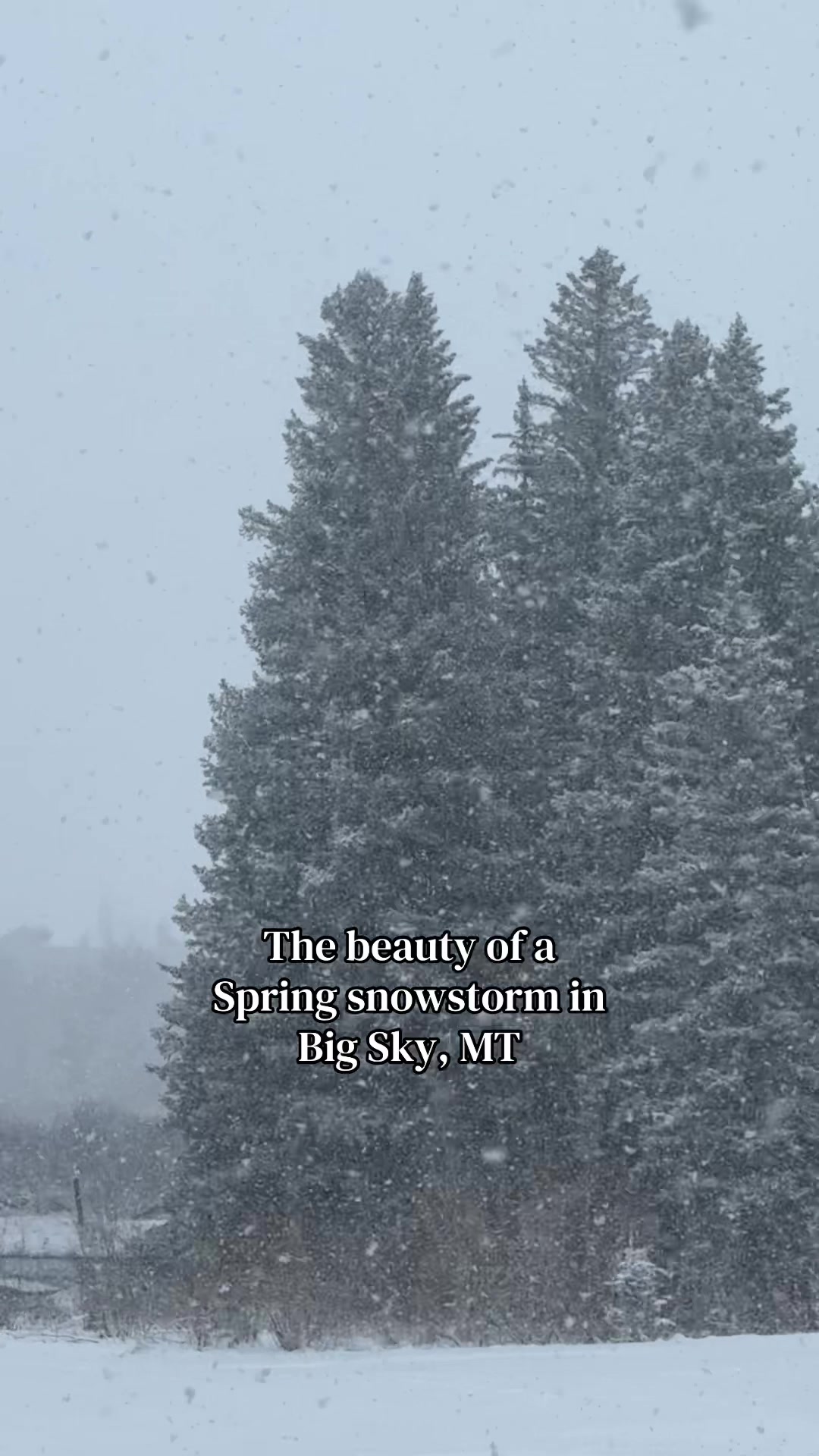 @VisitBigSky