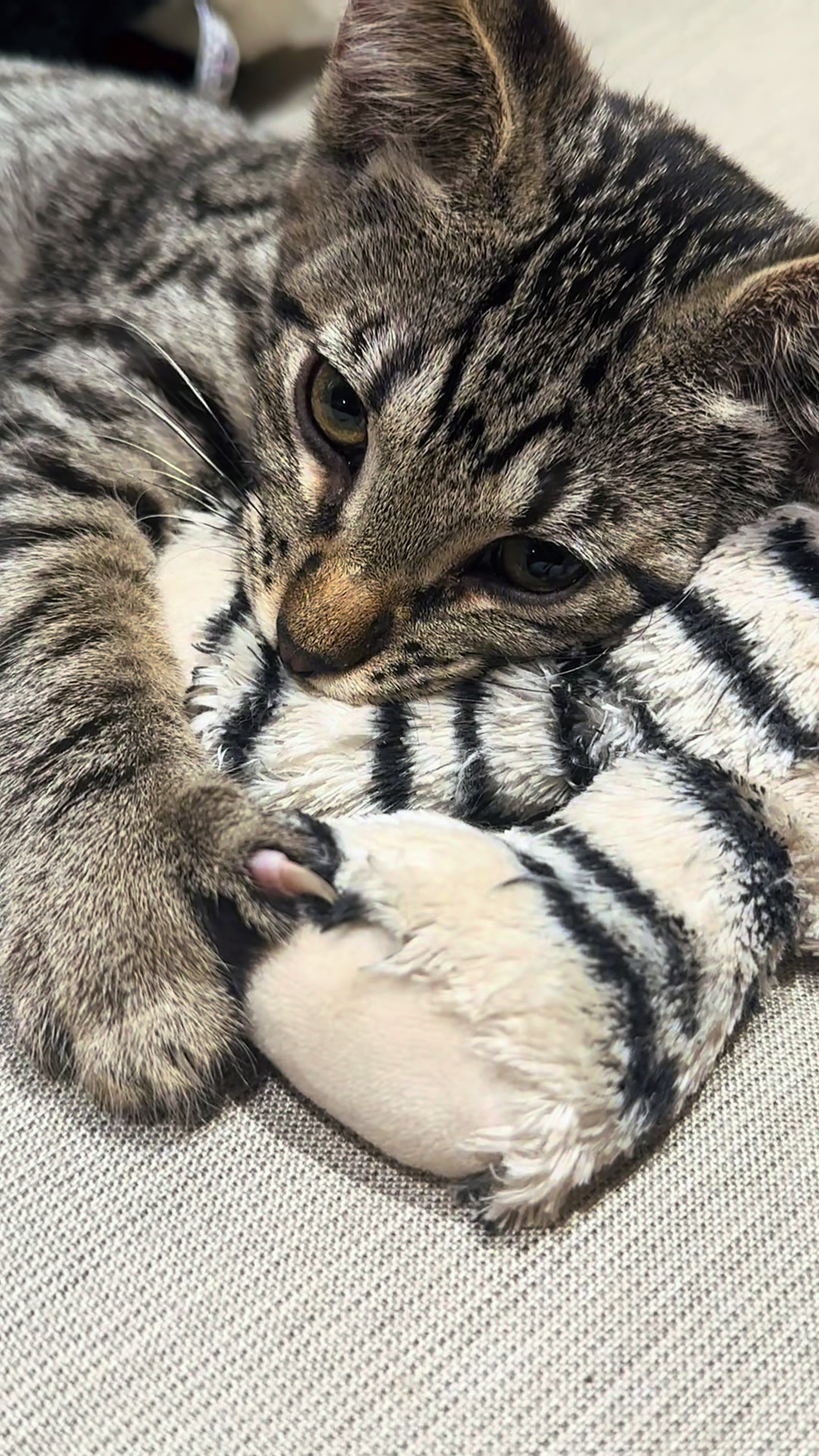 @purrrmeow
