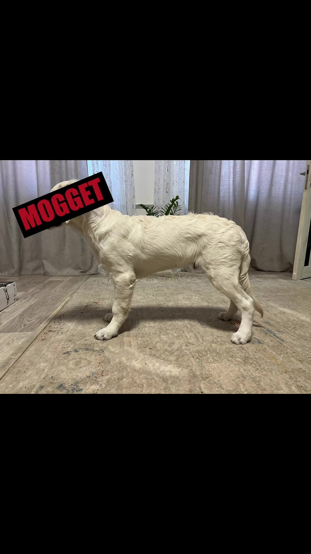 @𐔤ɯᥲᥴⲧыύ ⲙᥲρ᥈υ🥏