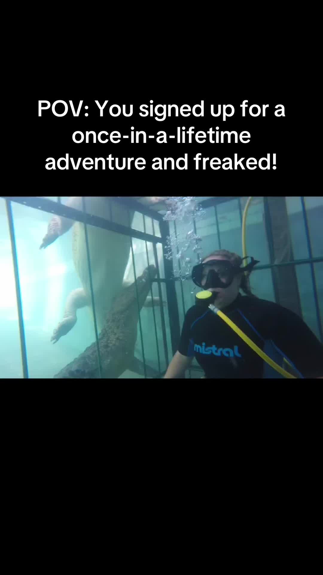 @TattlingTourist