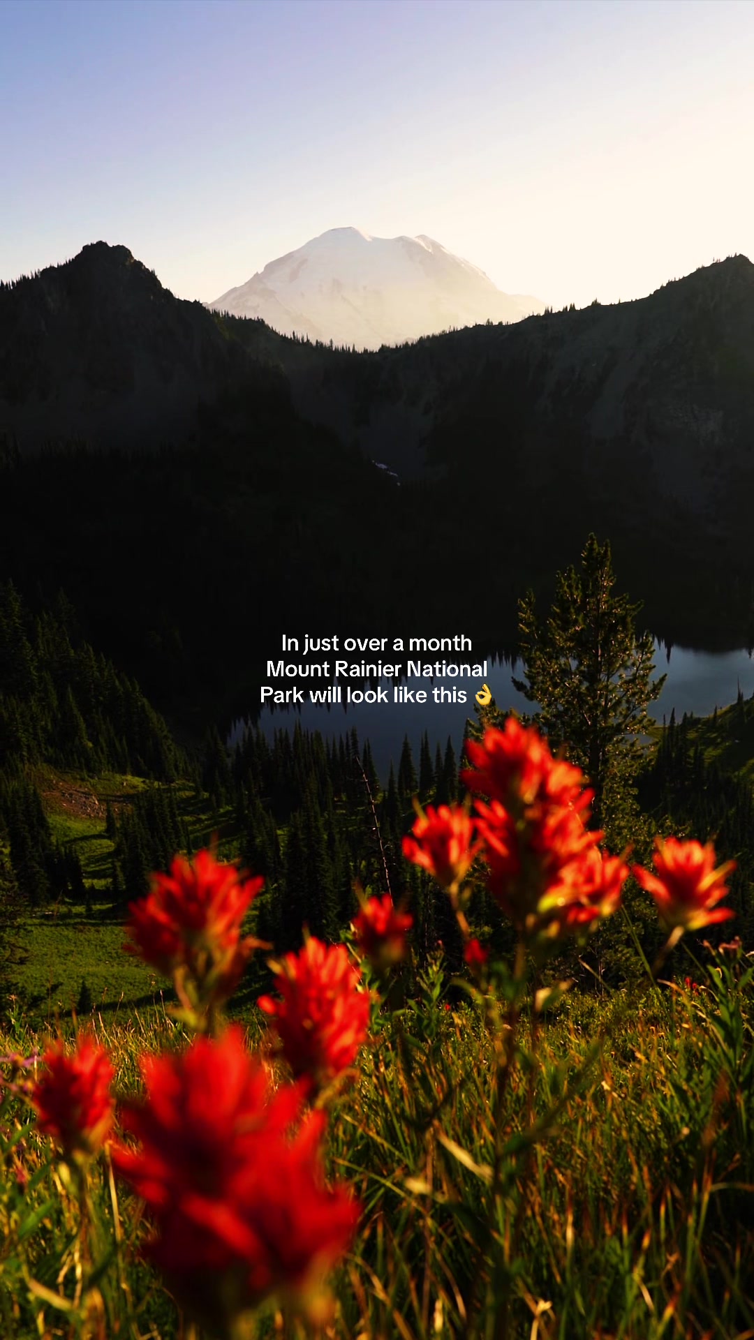 @David de Graaf || PNW 🏔