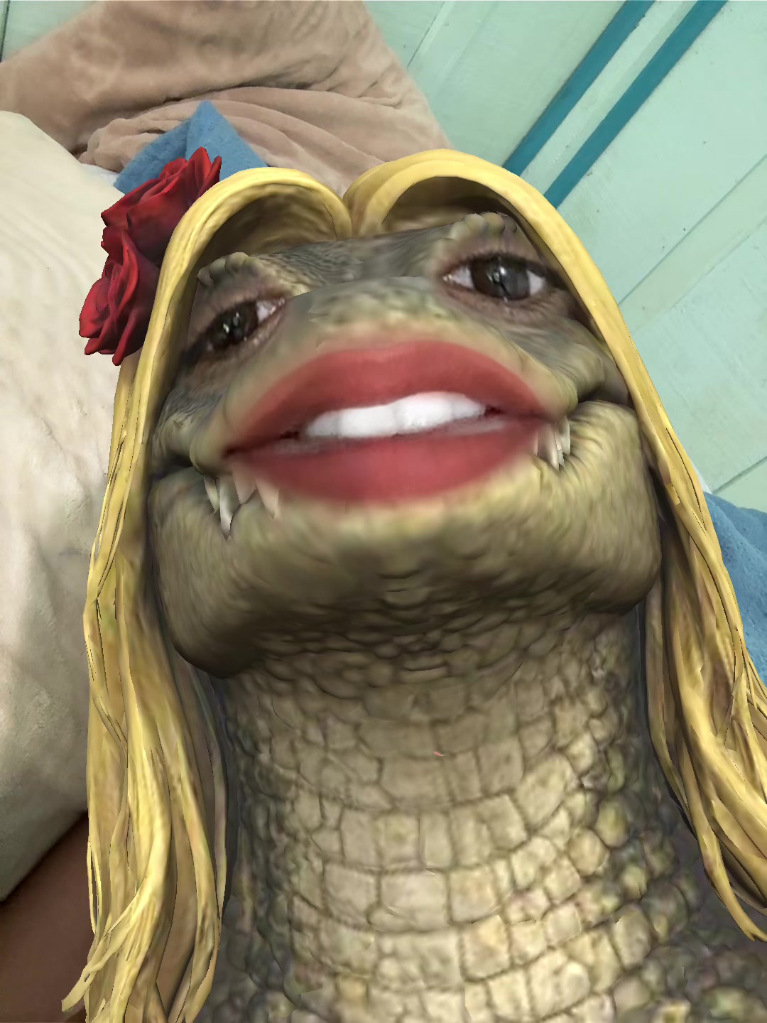 @cuca_da_mata