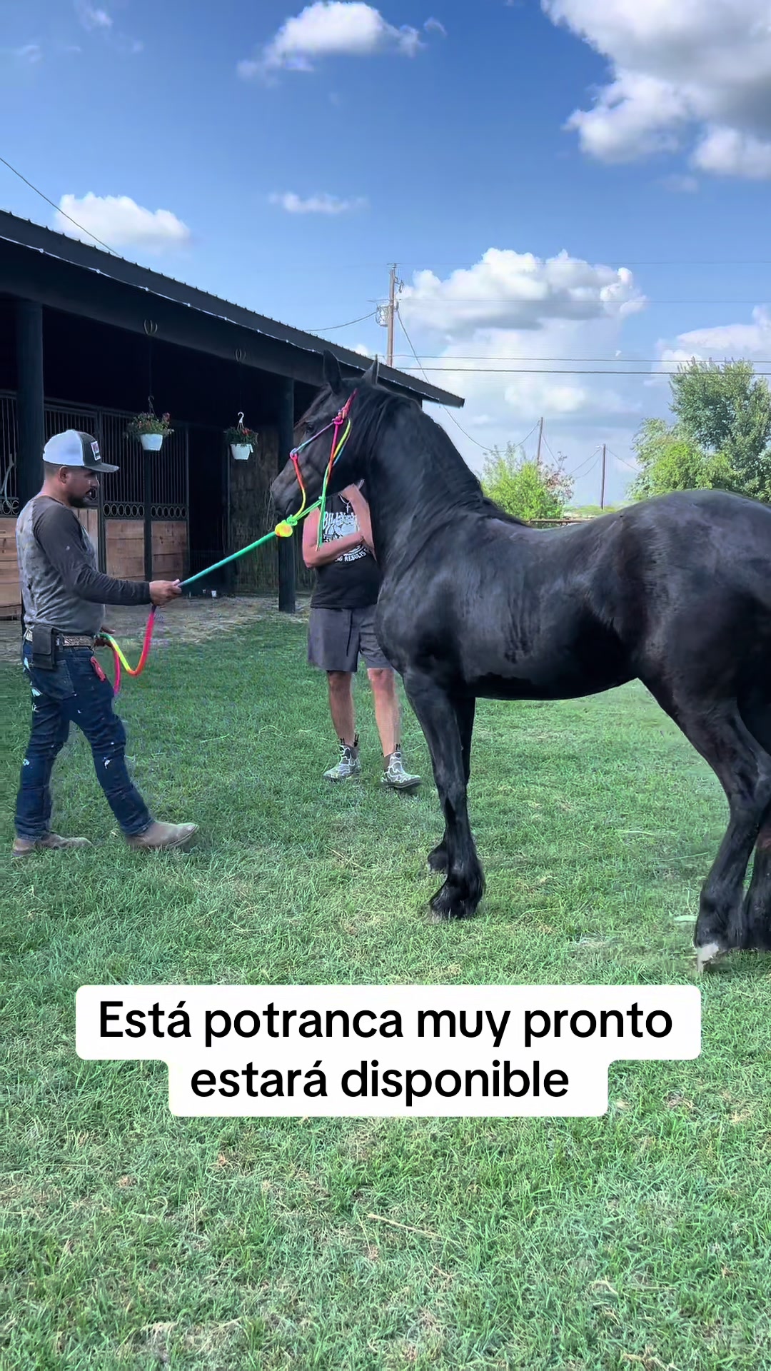 @Ranchoelnaturalito