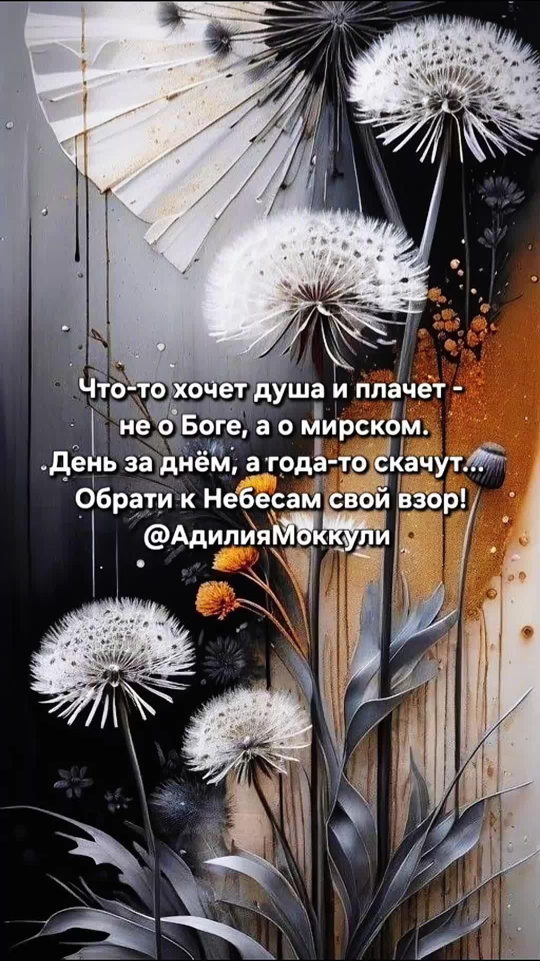 @Адилия Моккули
