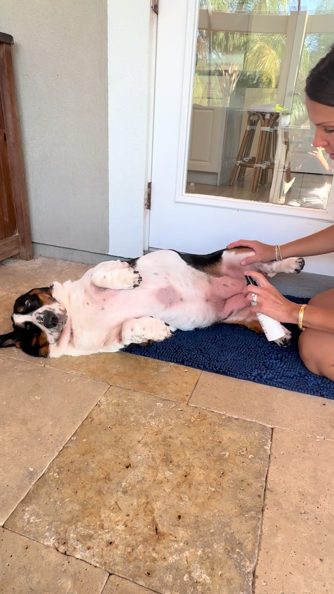 @🐾BillieBasset🐾