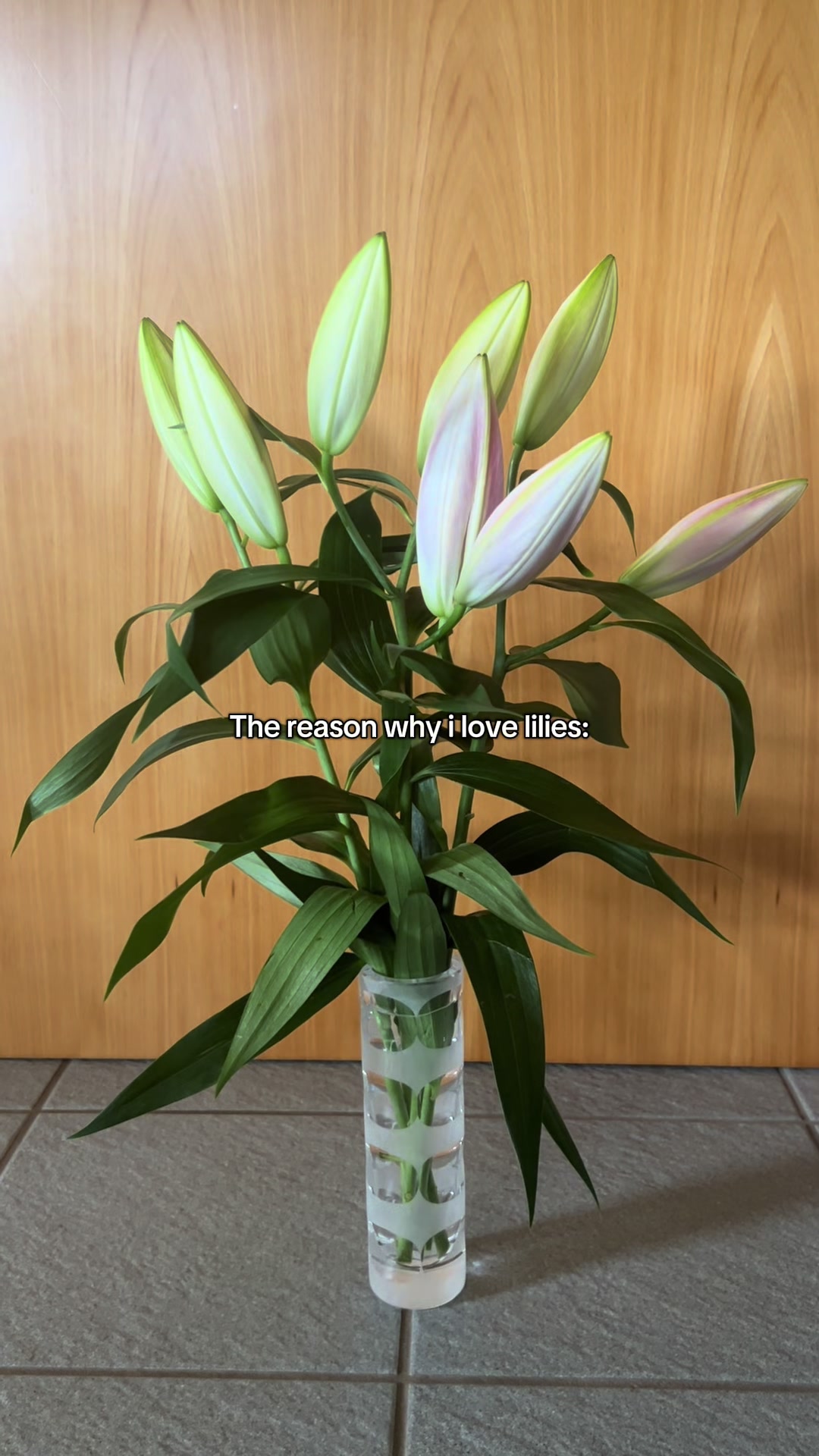 @Flora