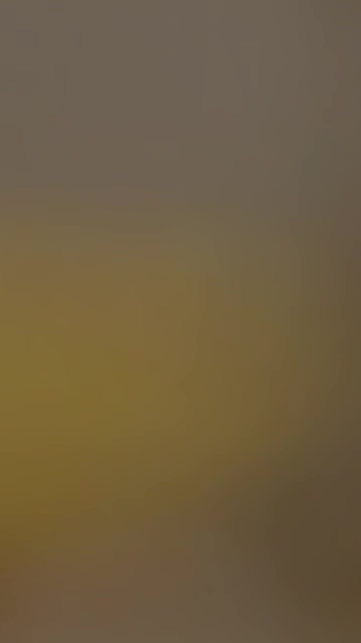 @Ammar 🍂