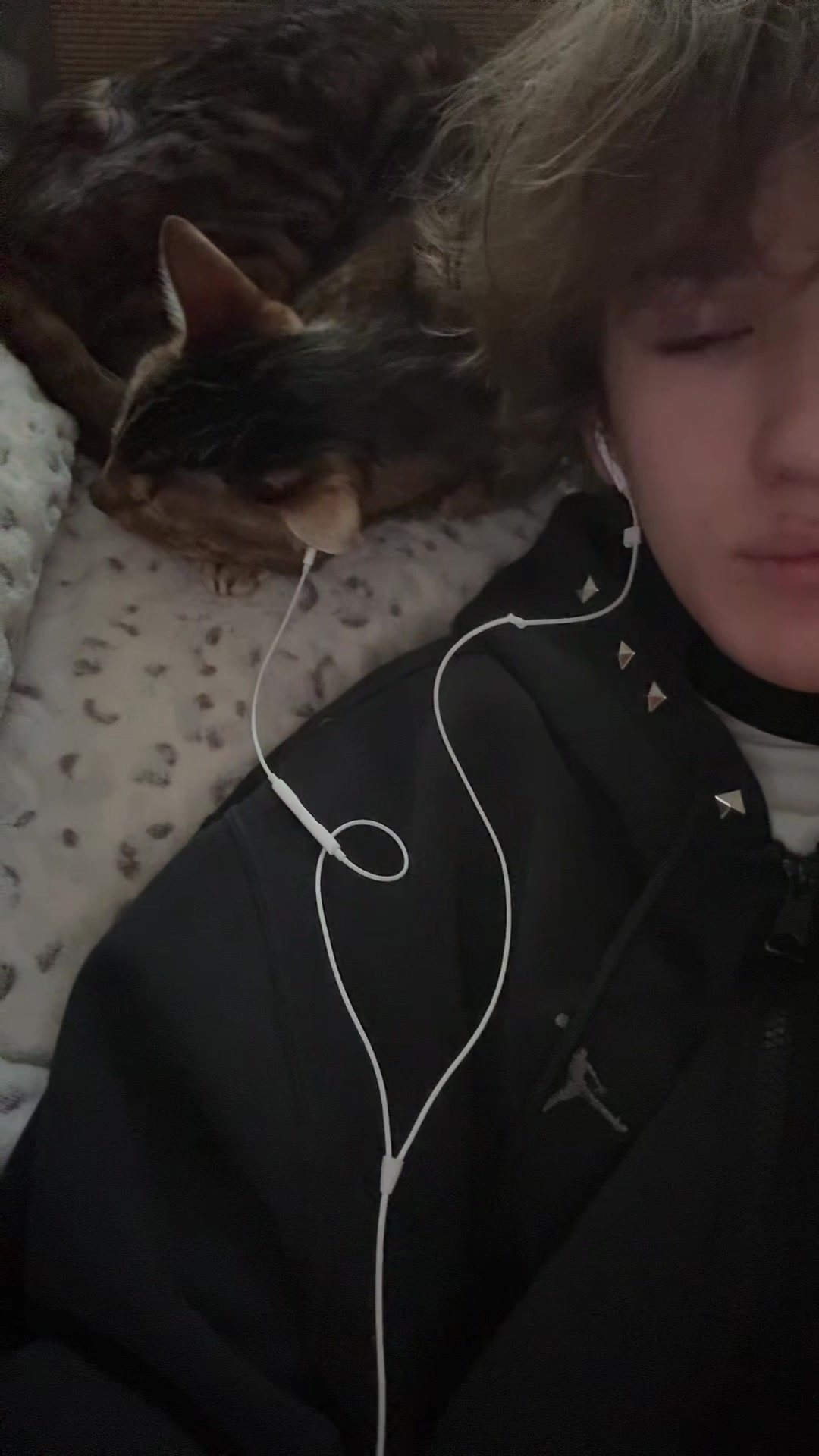 @catgoth