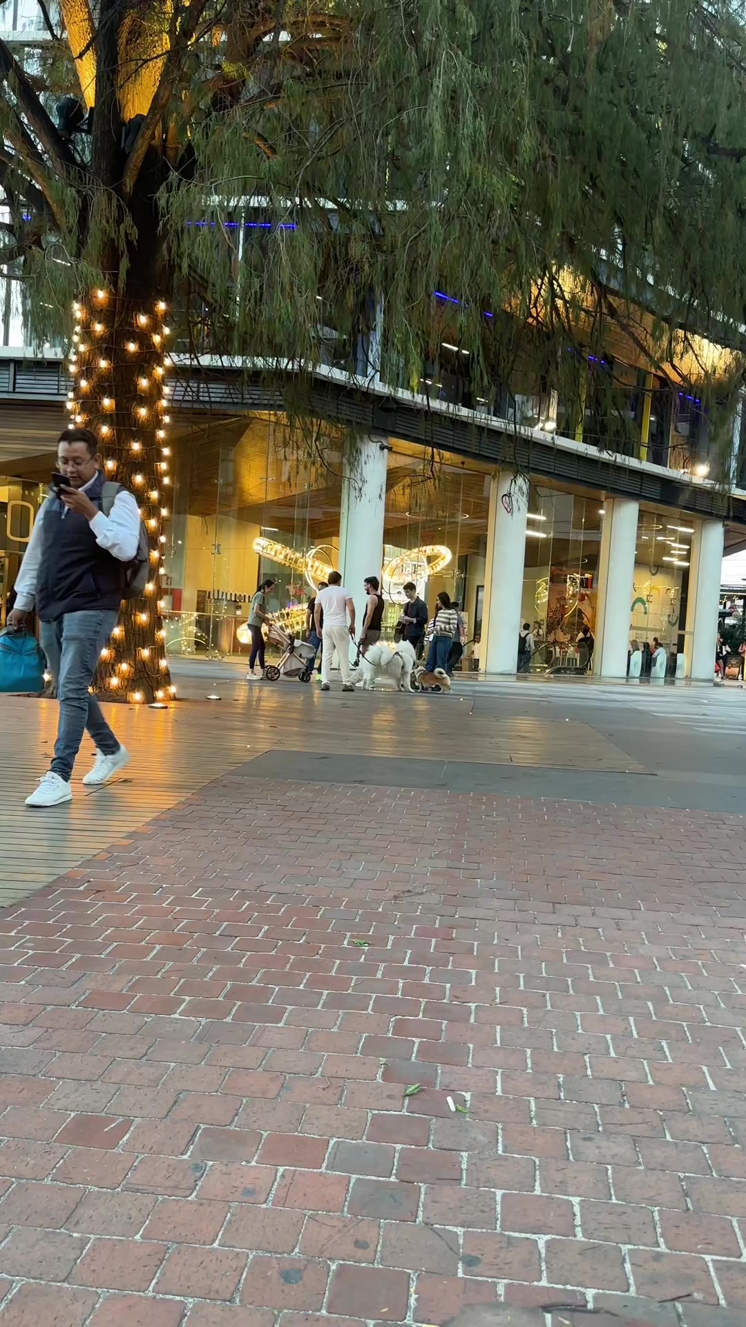 @Ed 🐺