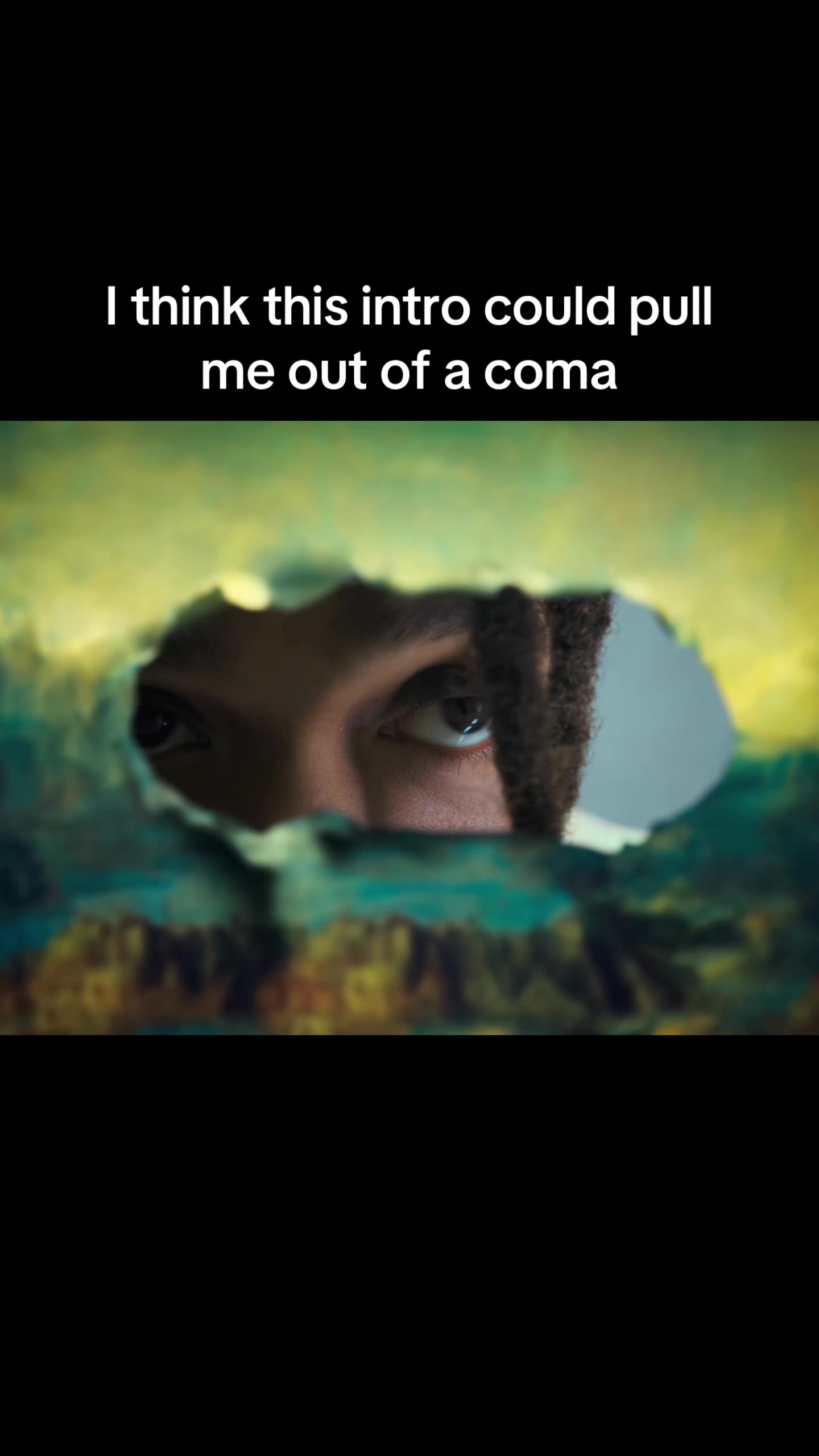 @Hurricane Wisdom Fan