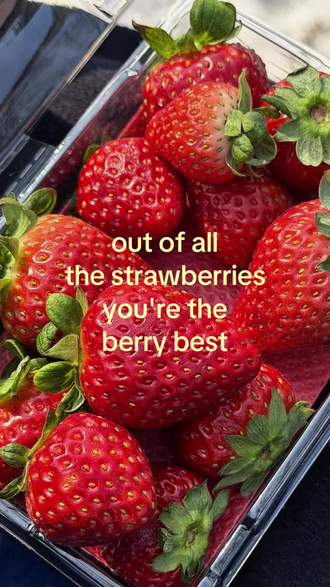 @thisbelovedlife