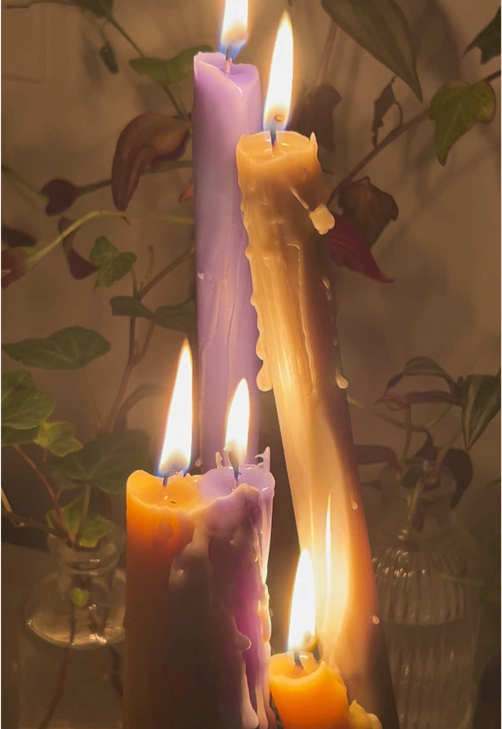 @candlecountess
