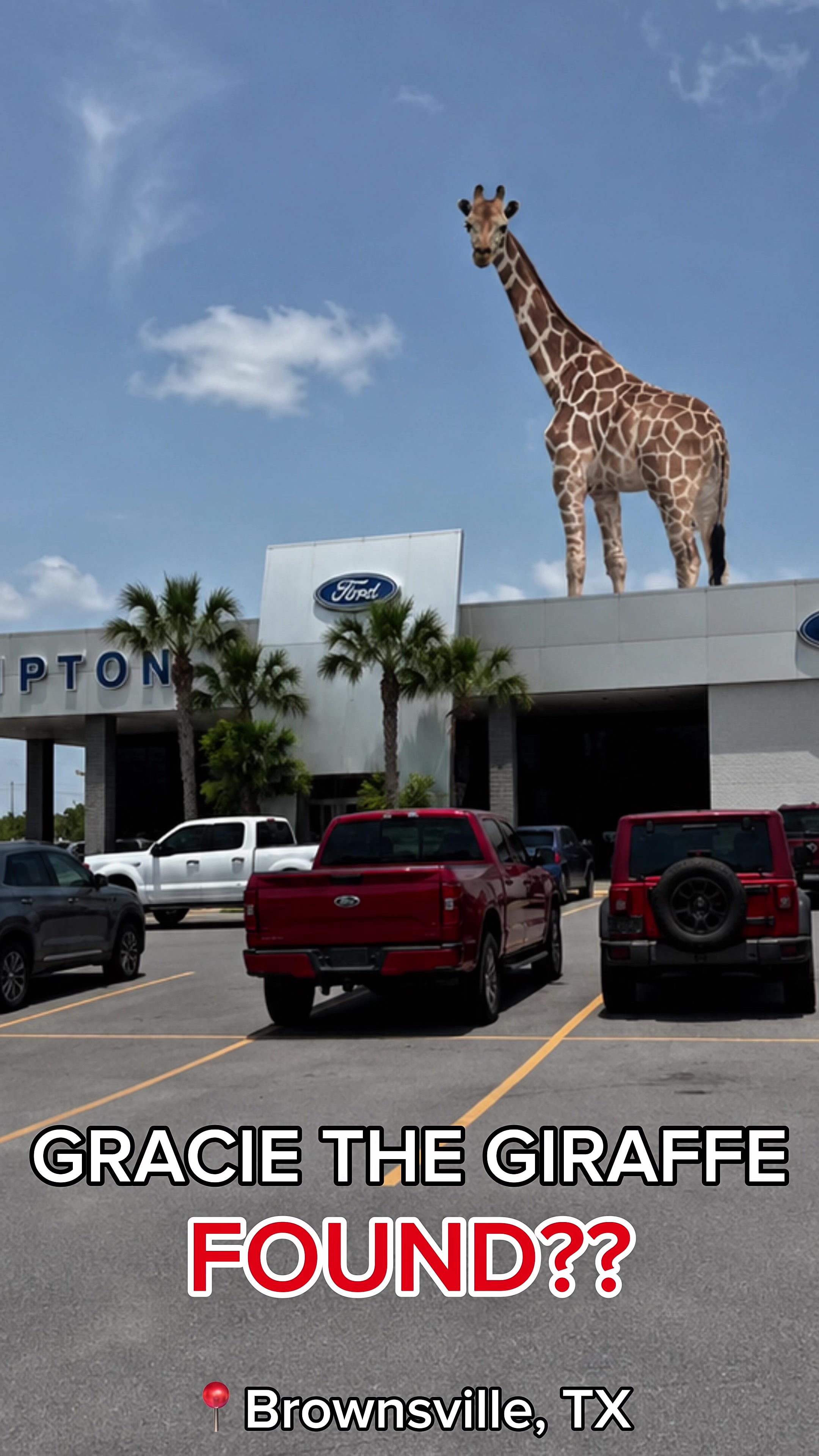 @tiptonfordbrownsville
