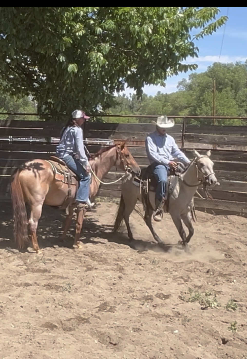 @cowgirlcommentary