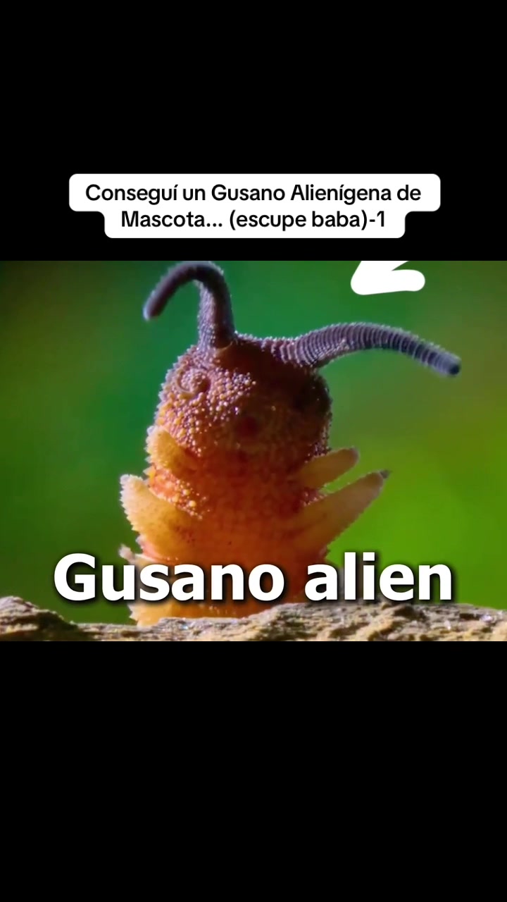@user4076628818079