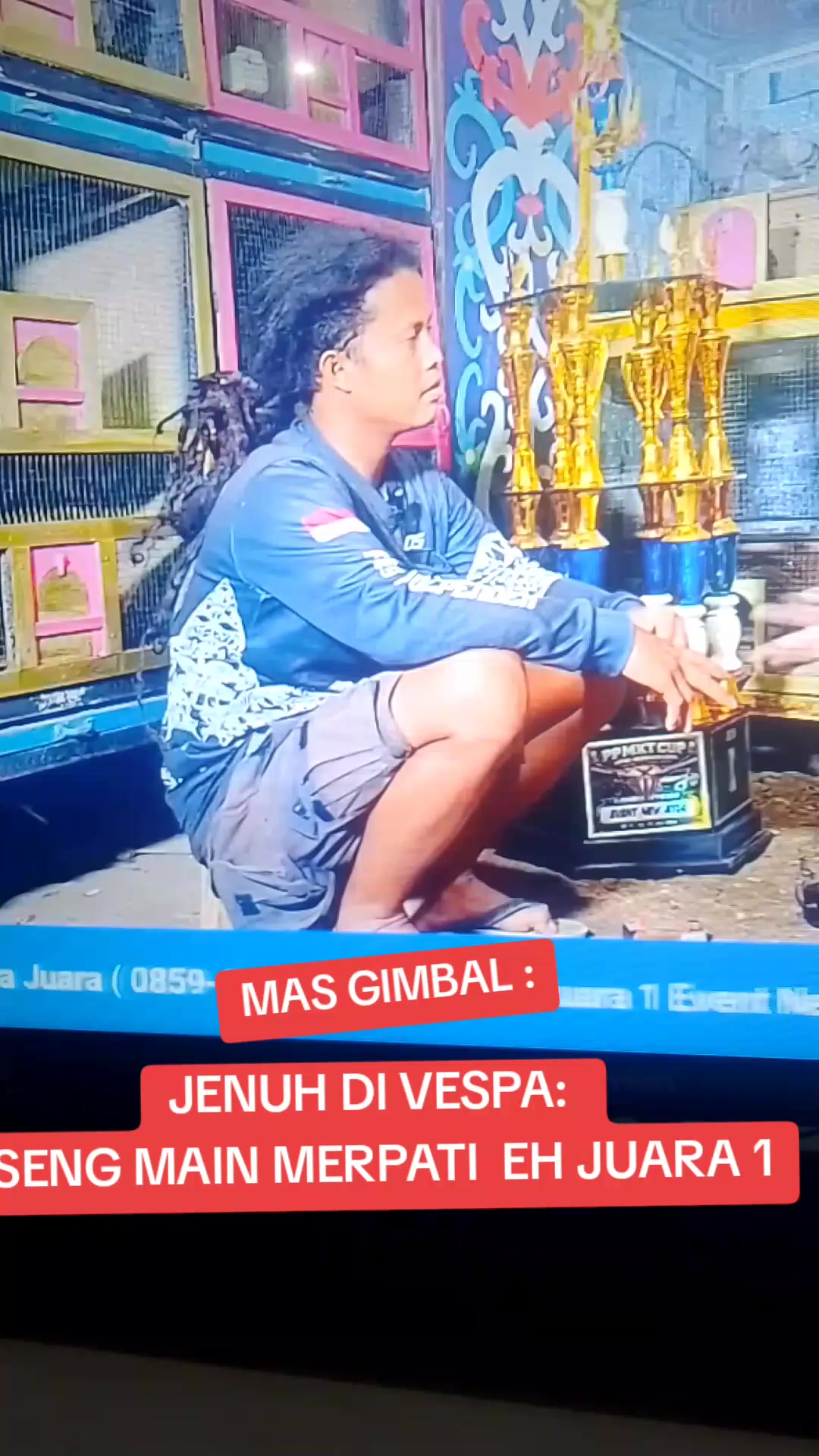 @Berita Merpati