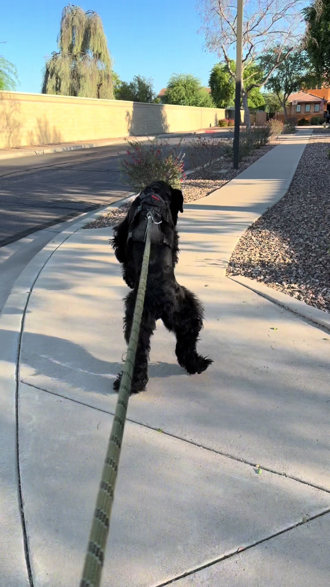 @Fiona Walks