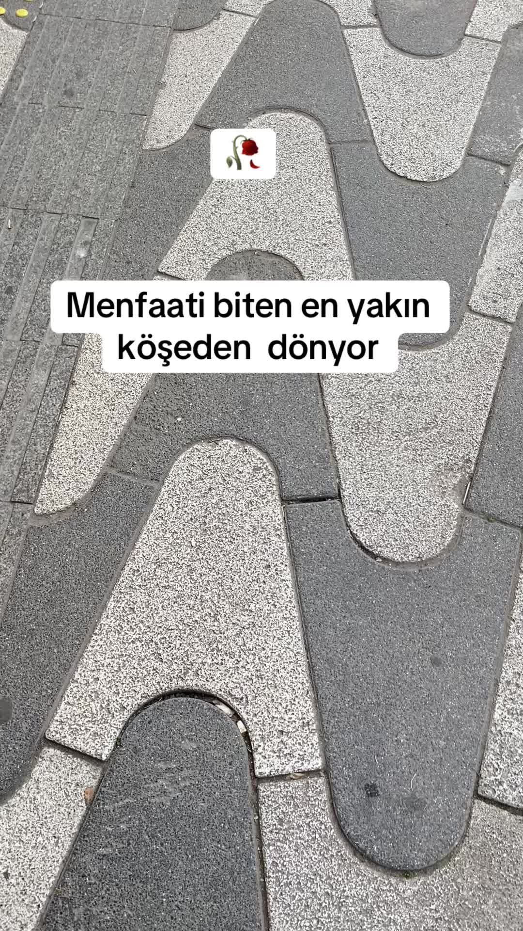 @<~~£F$O kalkan~~>