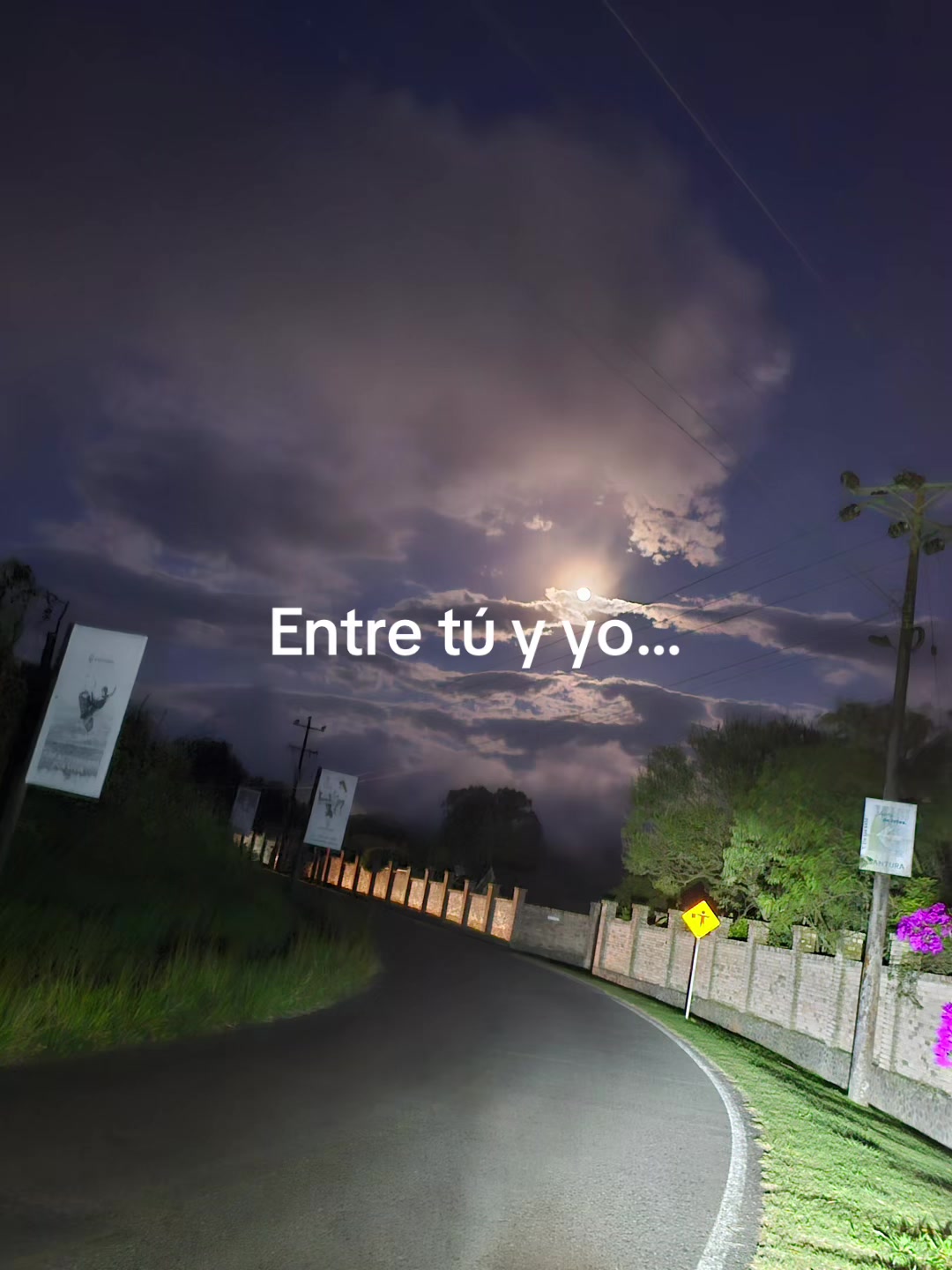 @UnTal Javier Pro Max