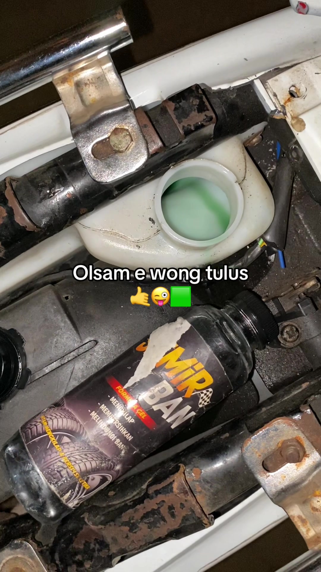 @NOGOSARI 🦆