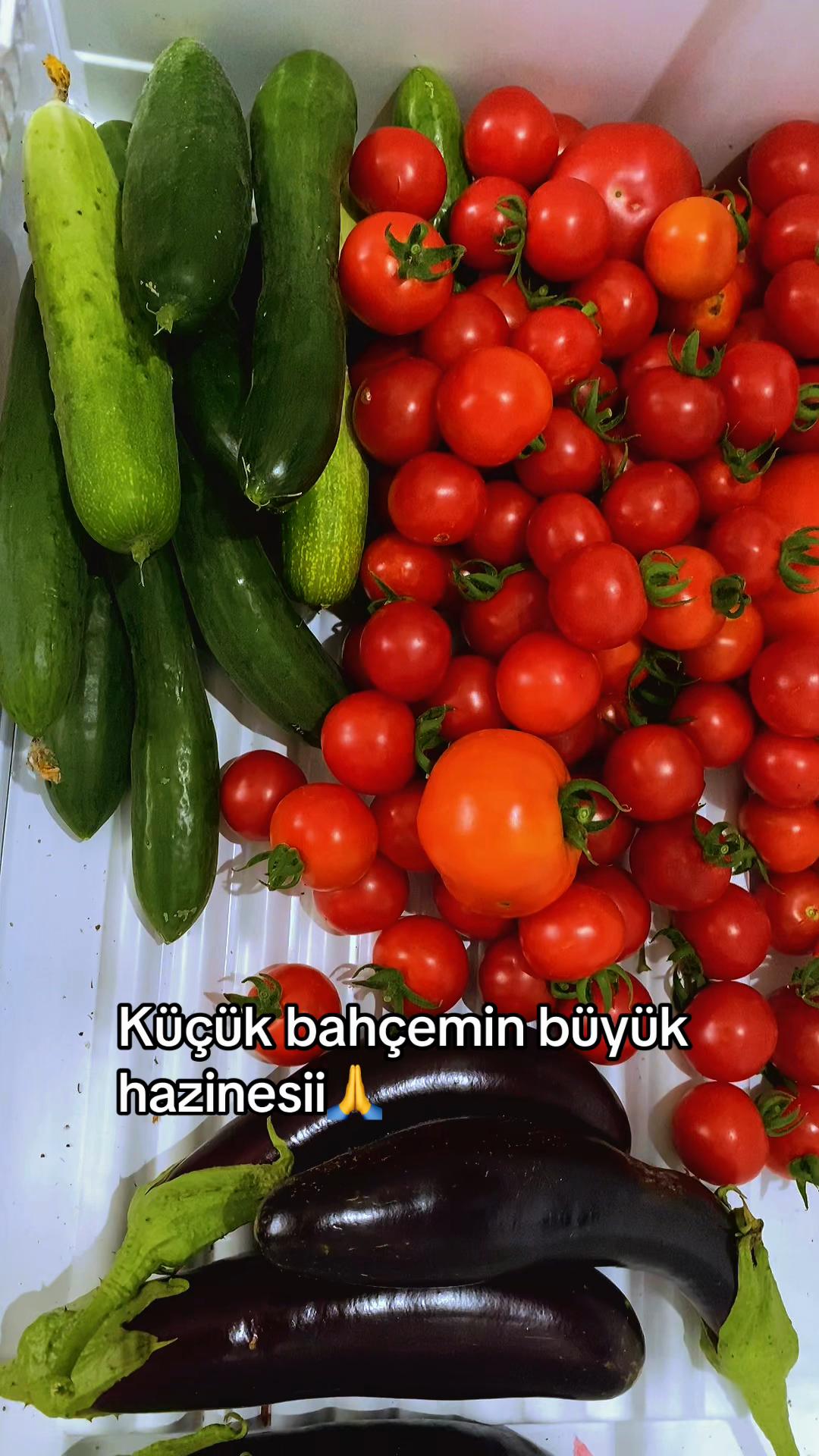 @Asi kız🙂