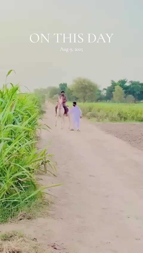 @😎DHiLLON juttt 😎