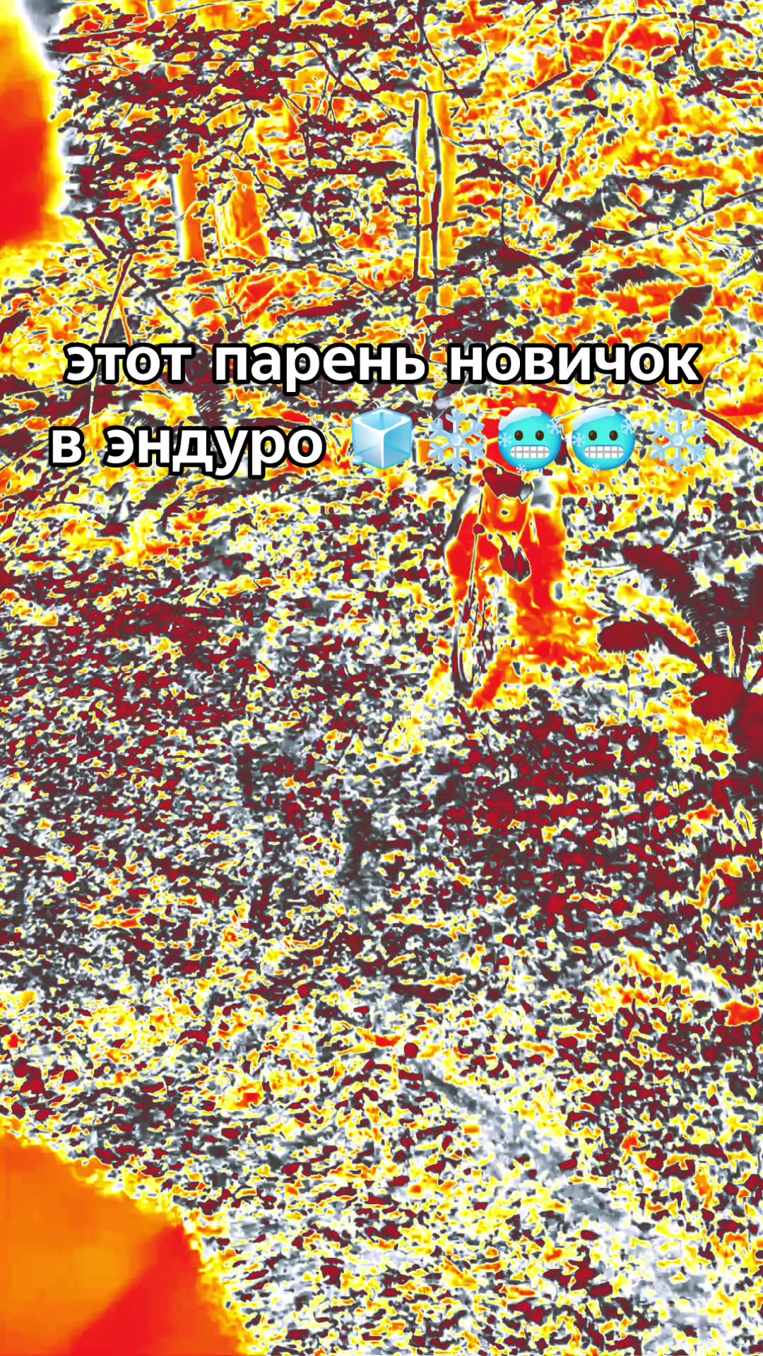 @smhk759