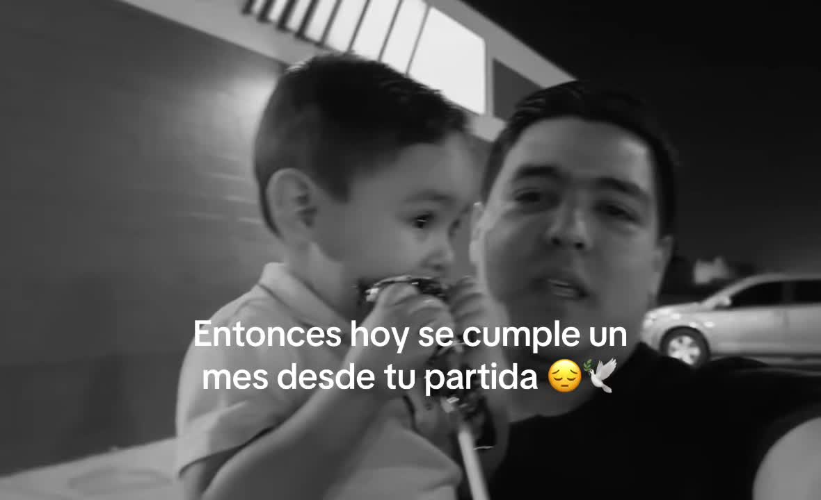 @ana_213_4