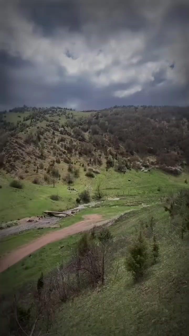 @suad krasnici