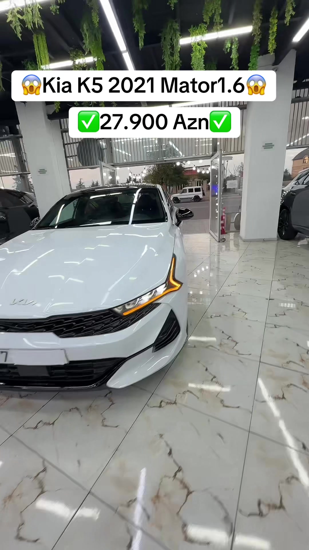 @Elim yandi auto Babek✅