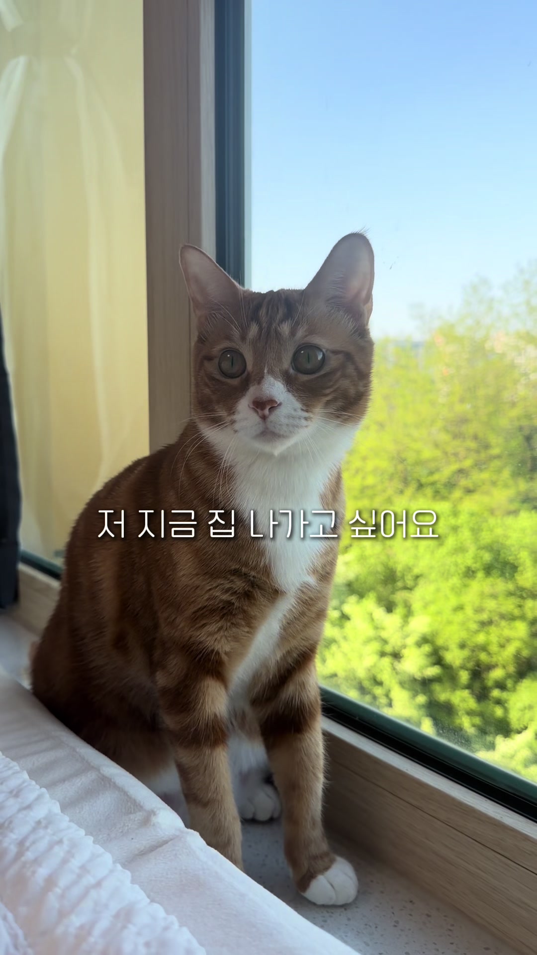@뮤춘삼