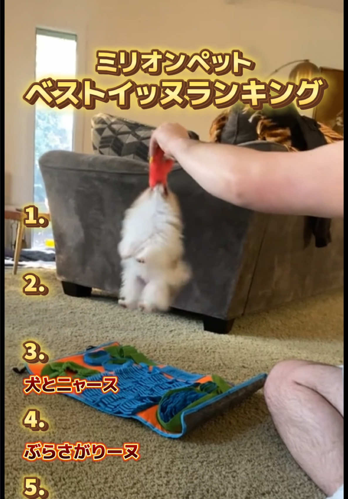 @ミリオンペット