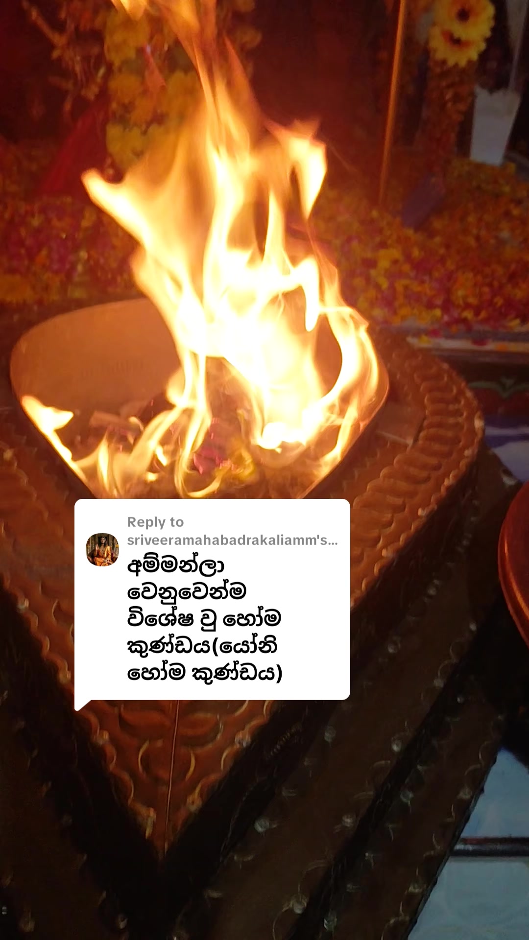 @අම්මා මැණීයෝ (black beauty)