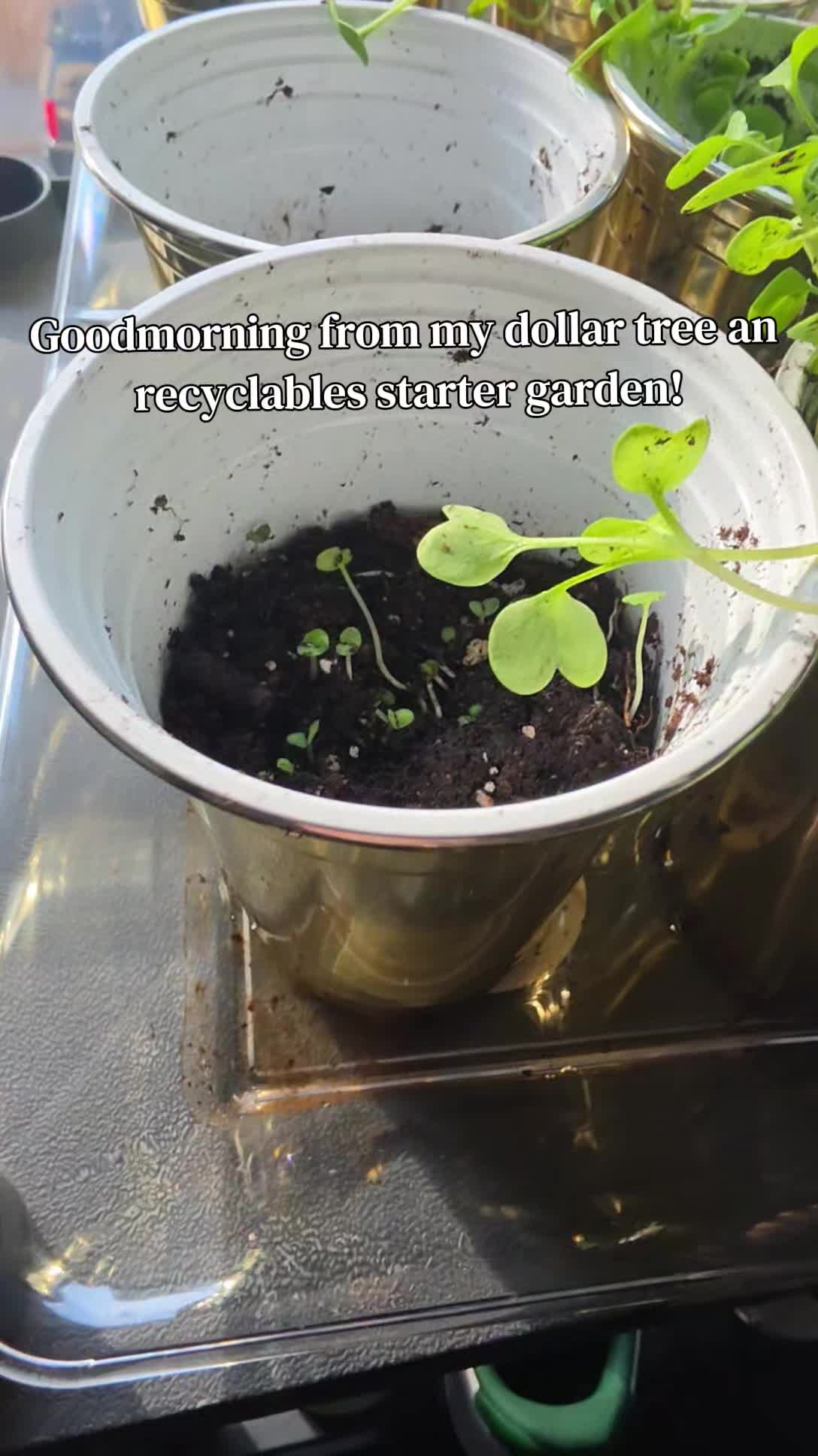 @Jas
