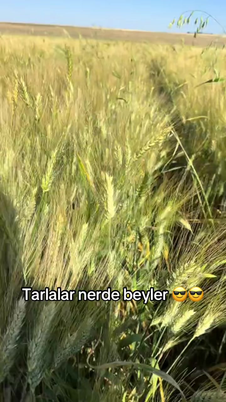 @OSMAN HACIOSMANOĞLU
