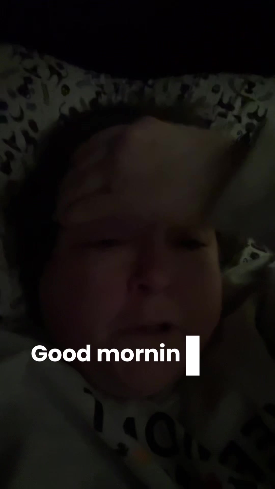 @steenercatmom