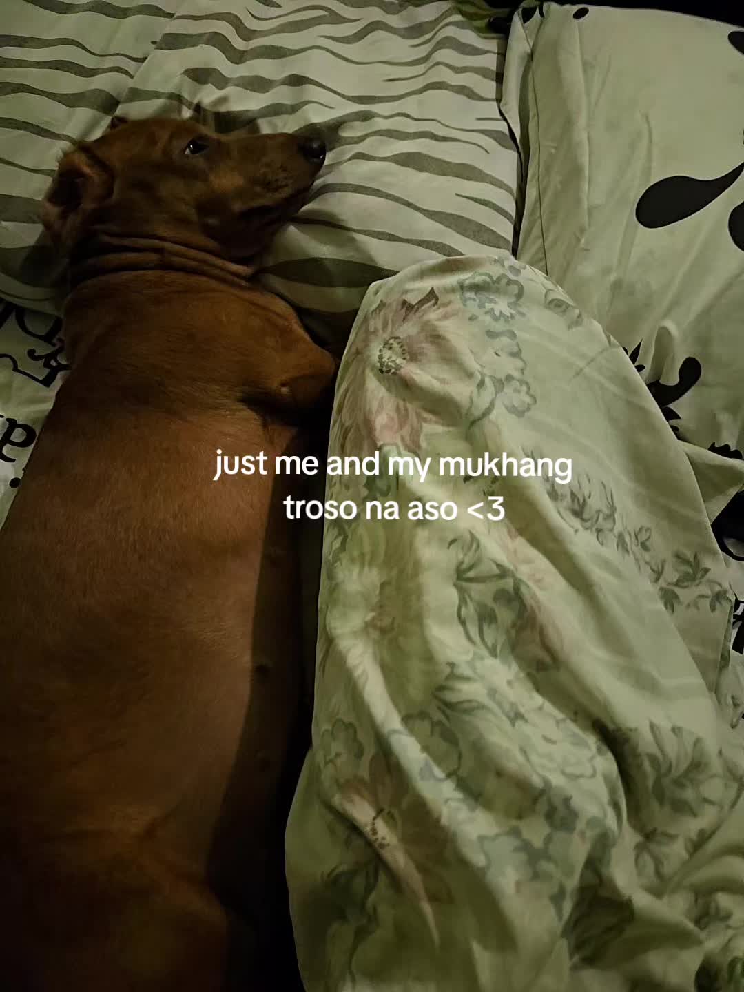 @avocado