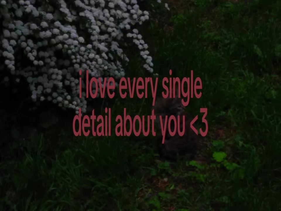 @☆