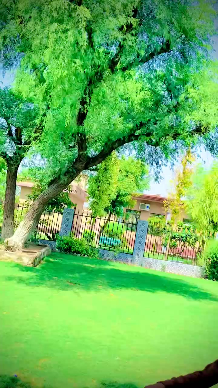 @Nandu Bhai