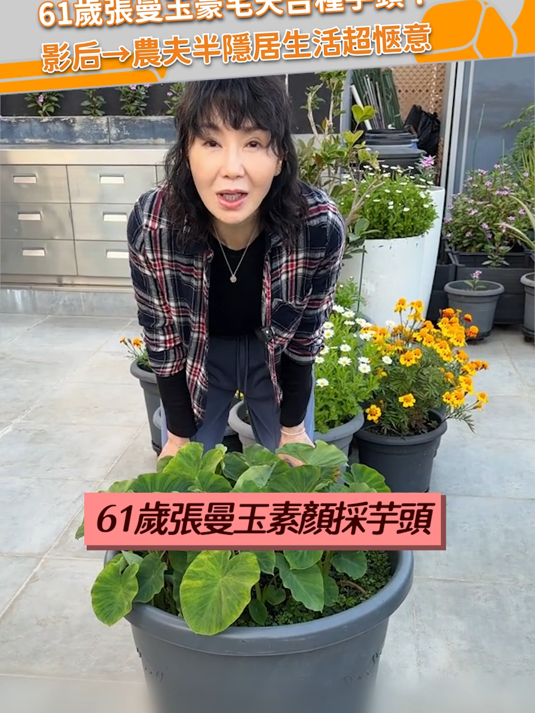 @緯來新聞網