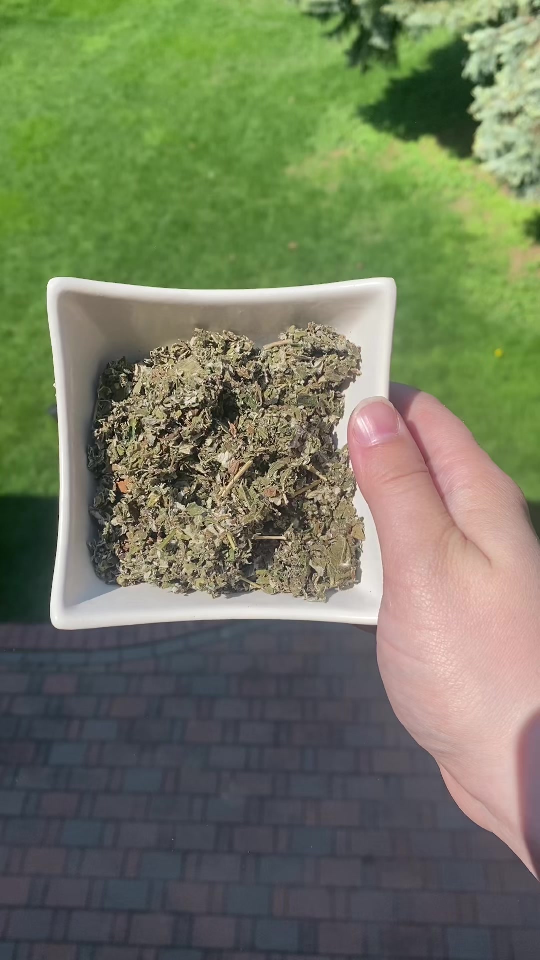 @Moontime Apothecary 🇨🇦