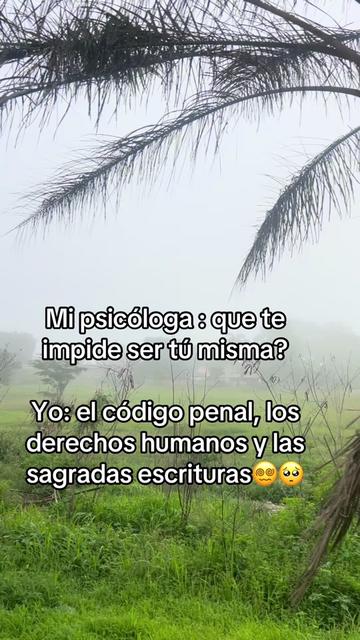 @Risleng Vargas