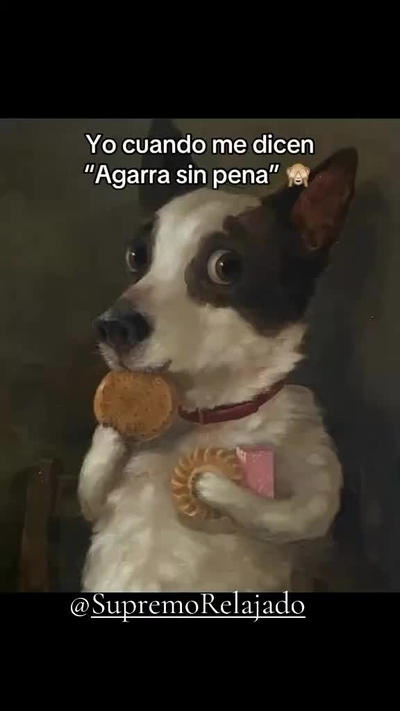 @SupremoHernandezz
